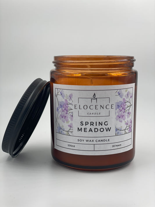 Spring Meadow